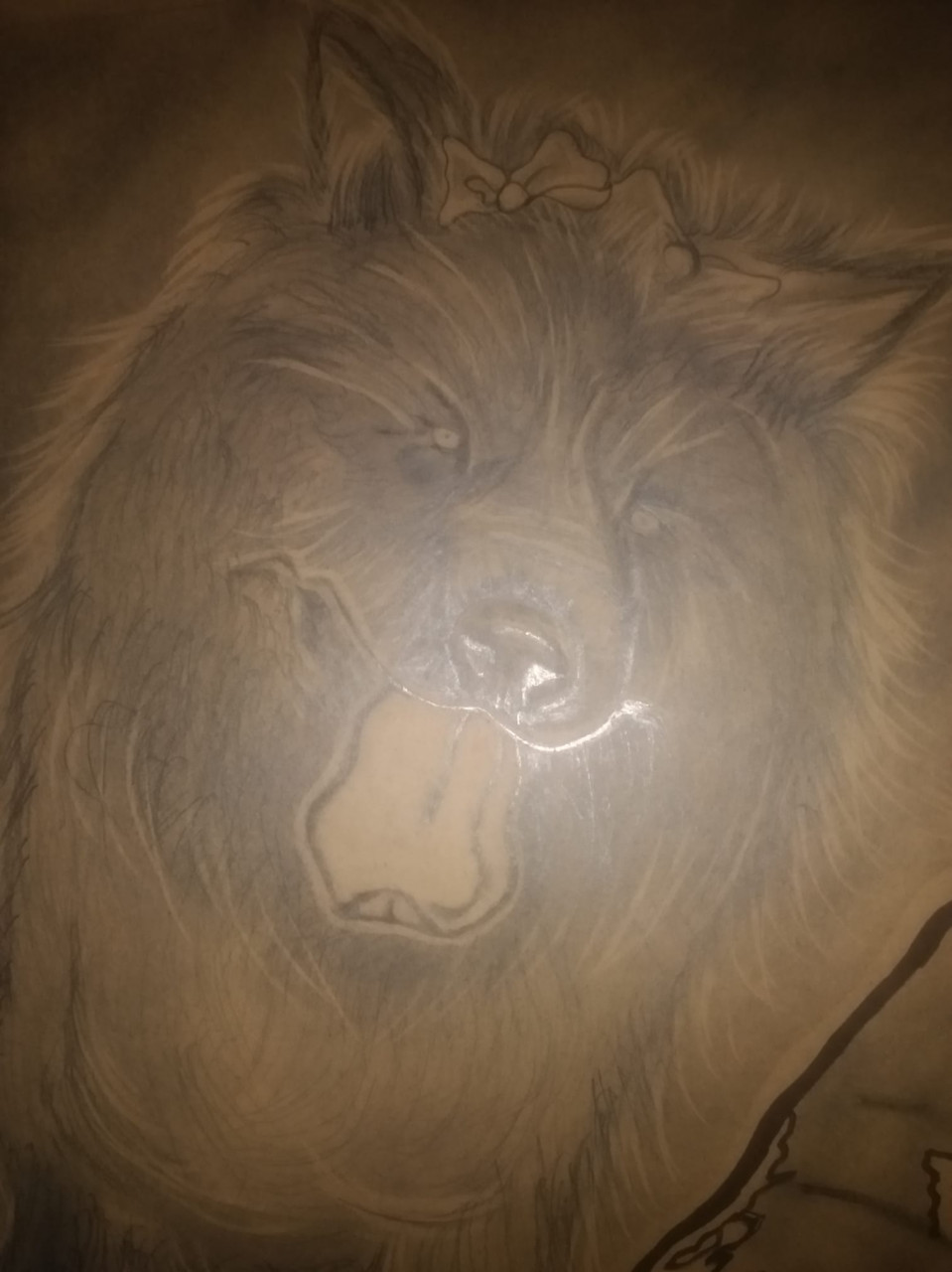 Pet