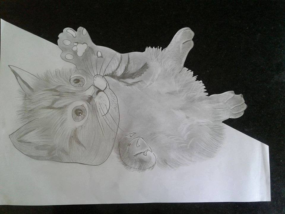 Pet 3