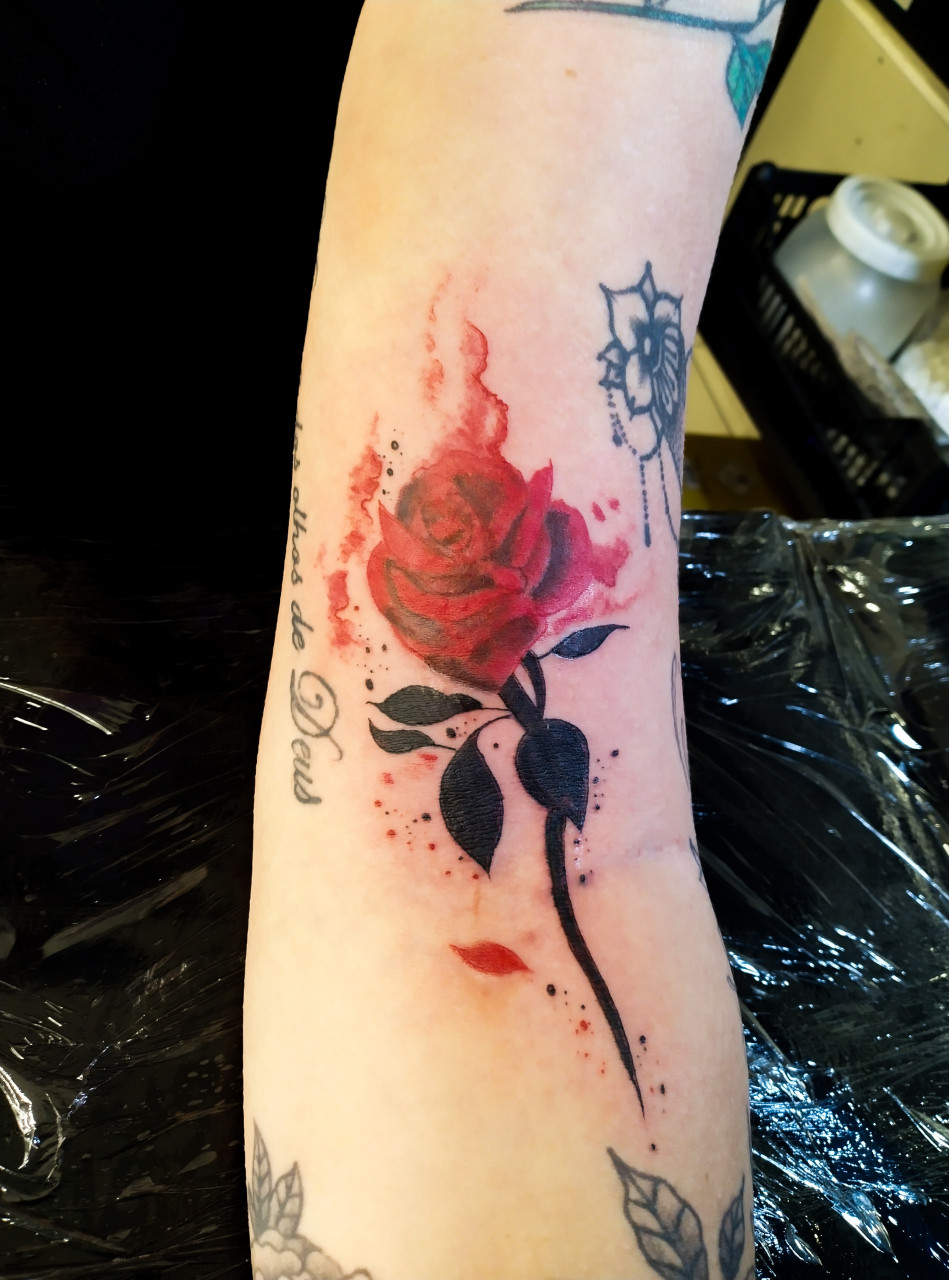 Rosa
