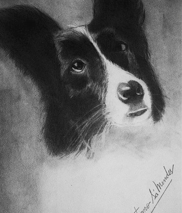 Cachorro de um livro Orson